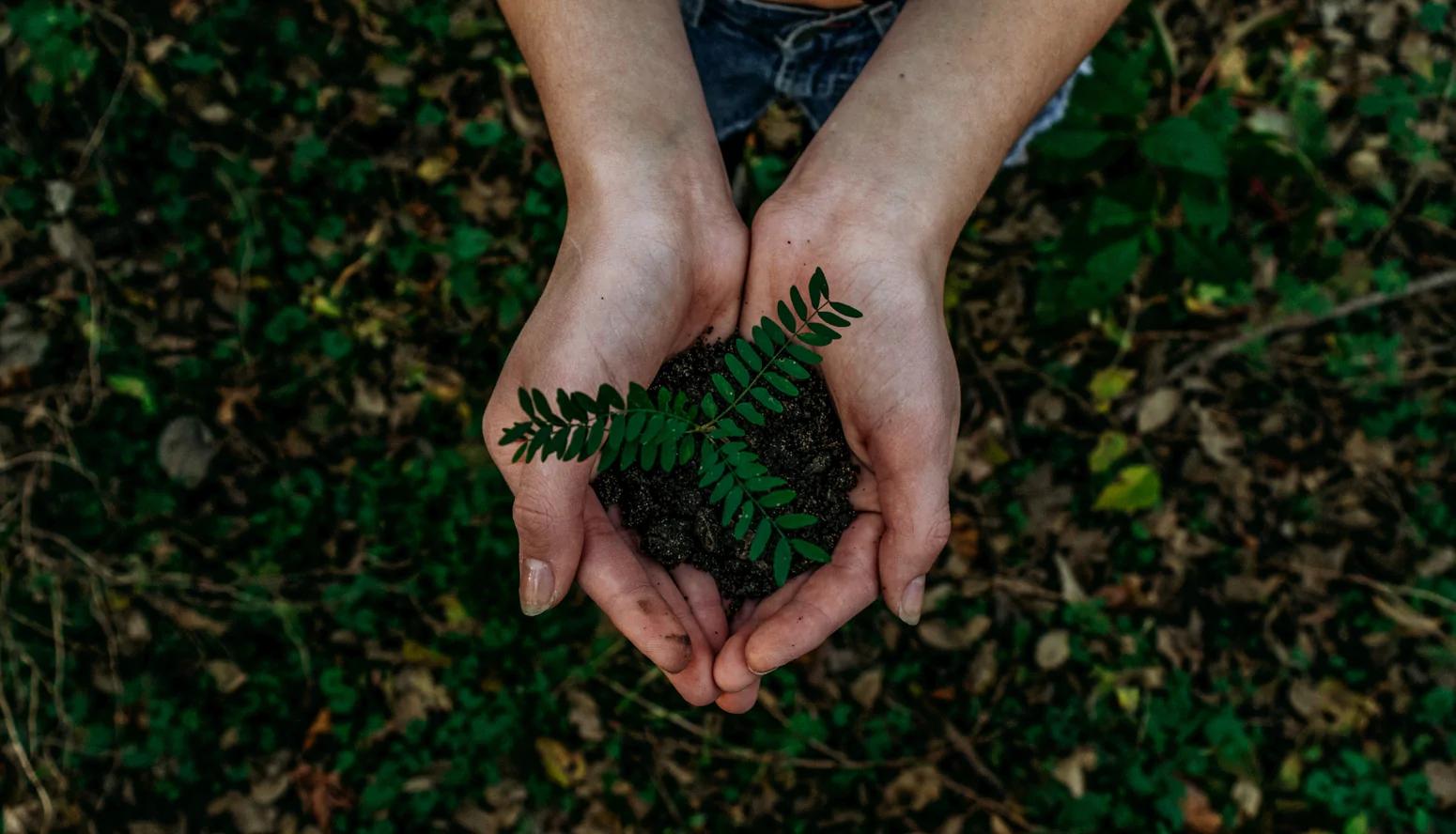 Earth Day – Ein Tag für unsere Erde