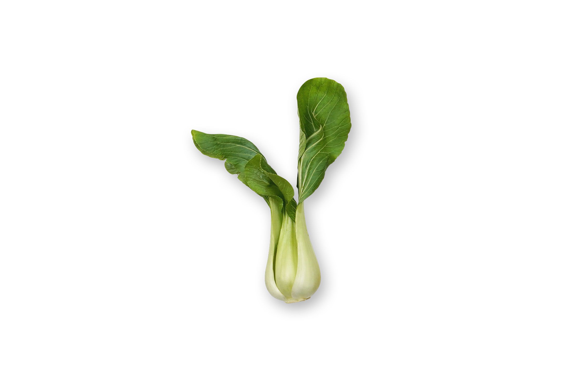 pakchoi