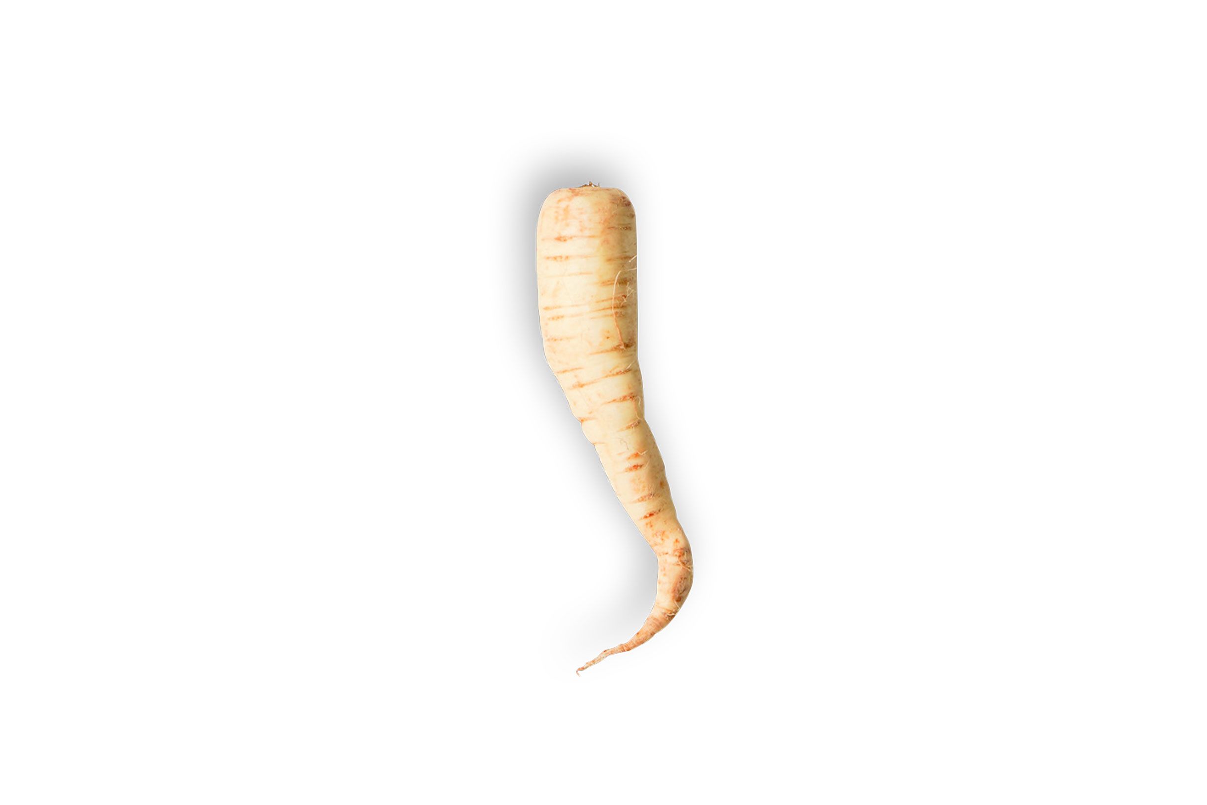 parsnip