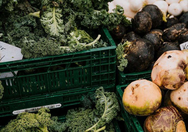 Food Waste – When Edible Food Lands in the Trash.