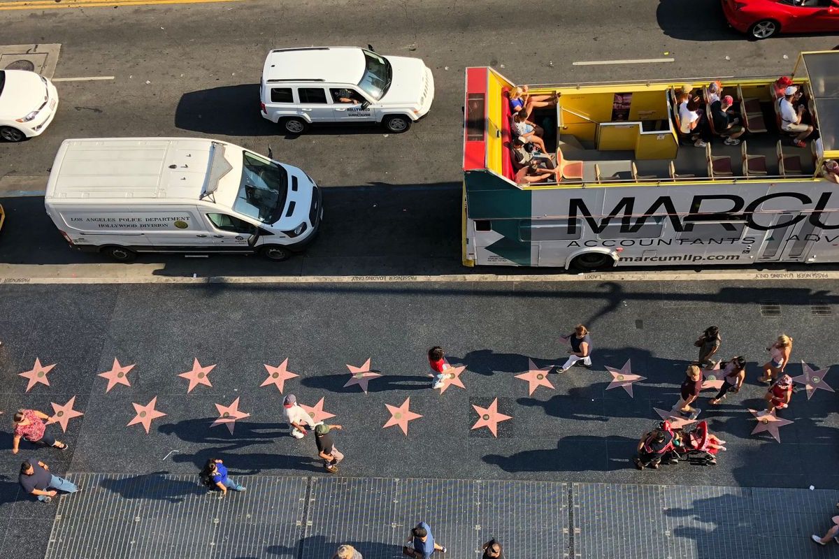 Hollywood Boulevard's $20M Language Problem: 12 Nationalities, One Coffee Shop