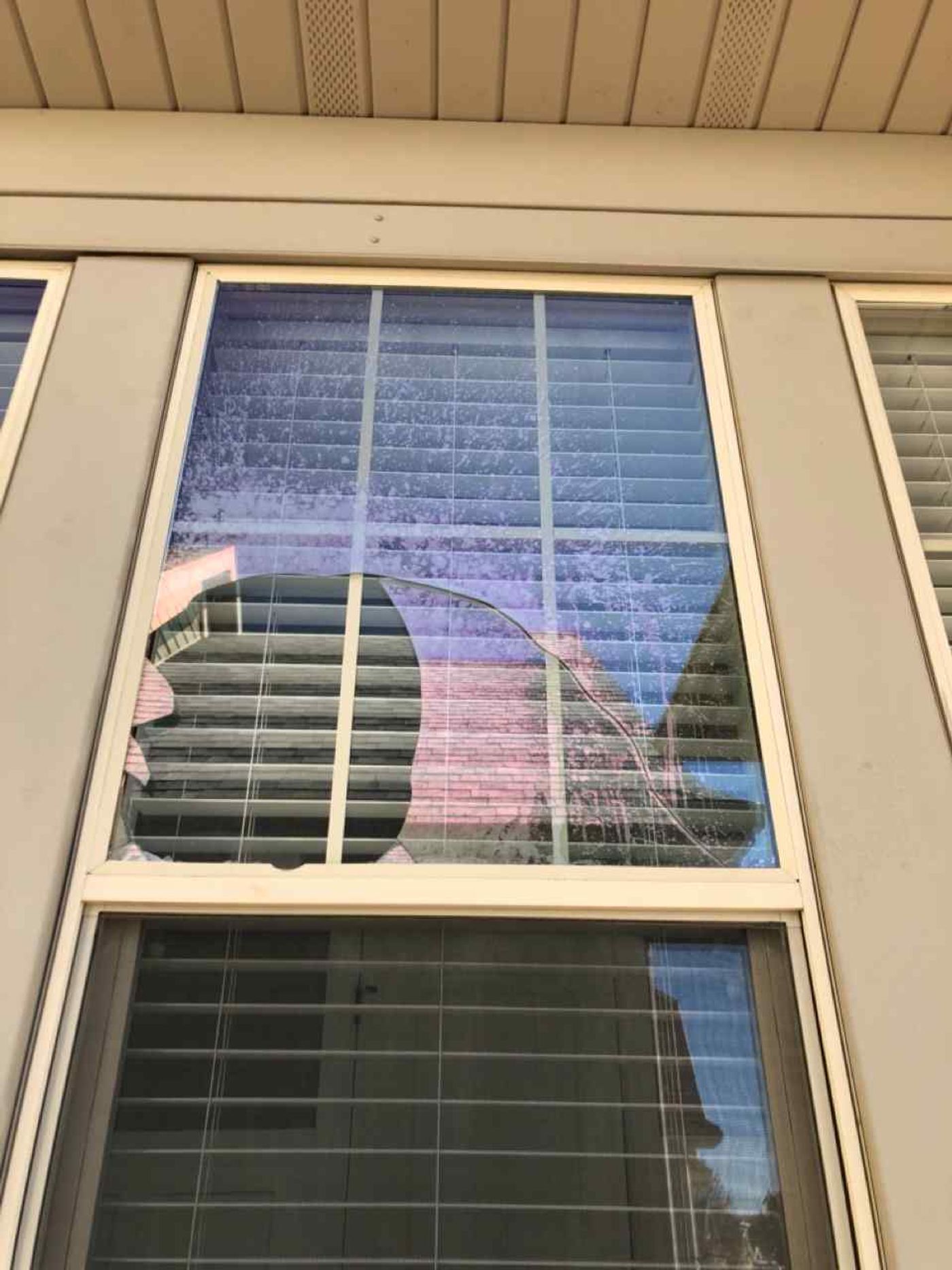 Window Glass project photo