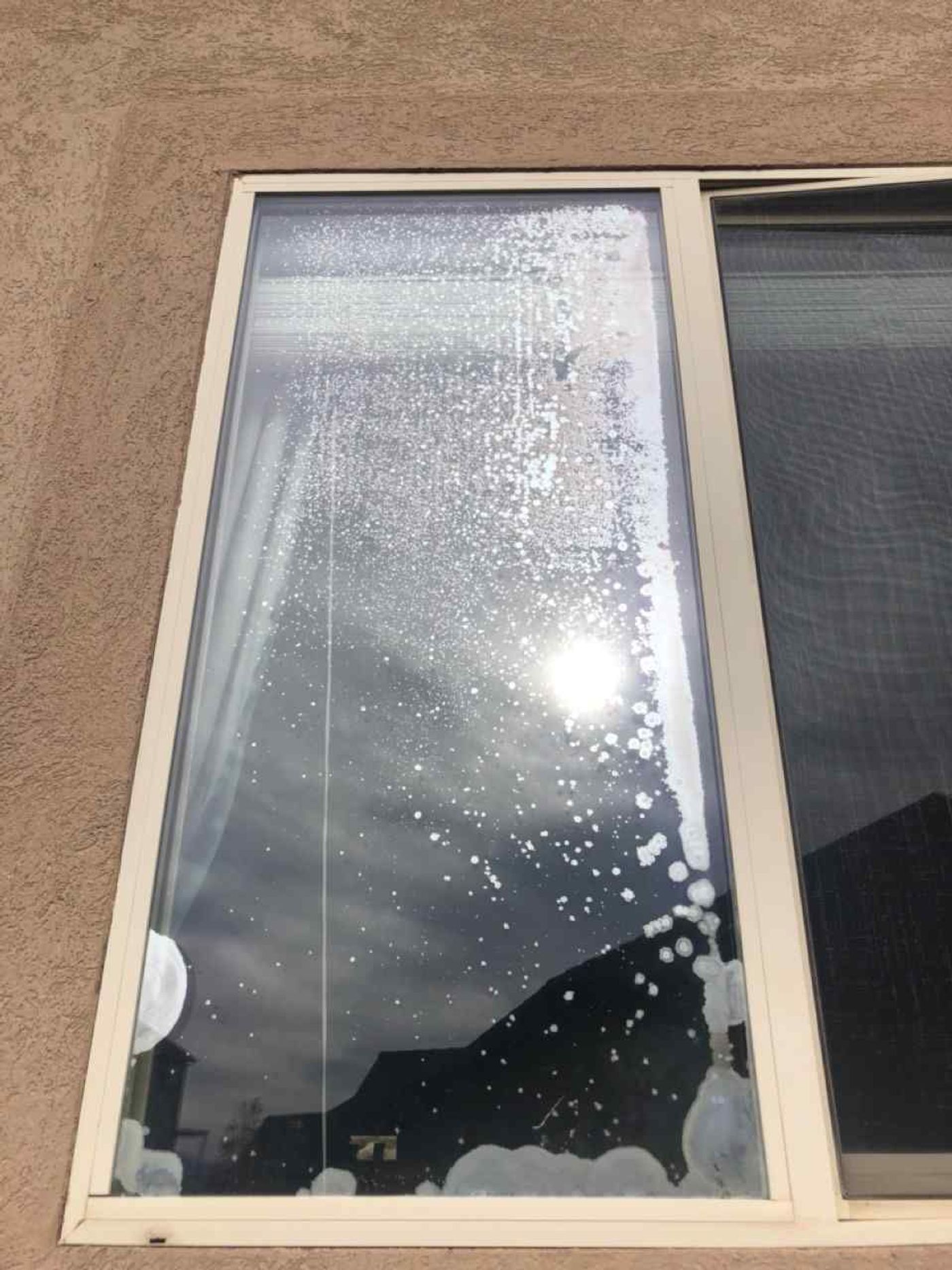 Window Glass project photo