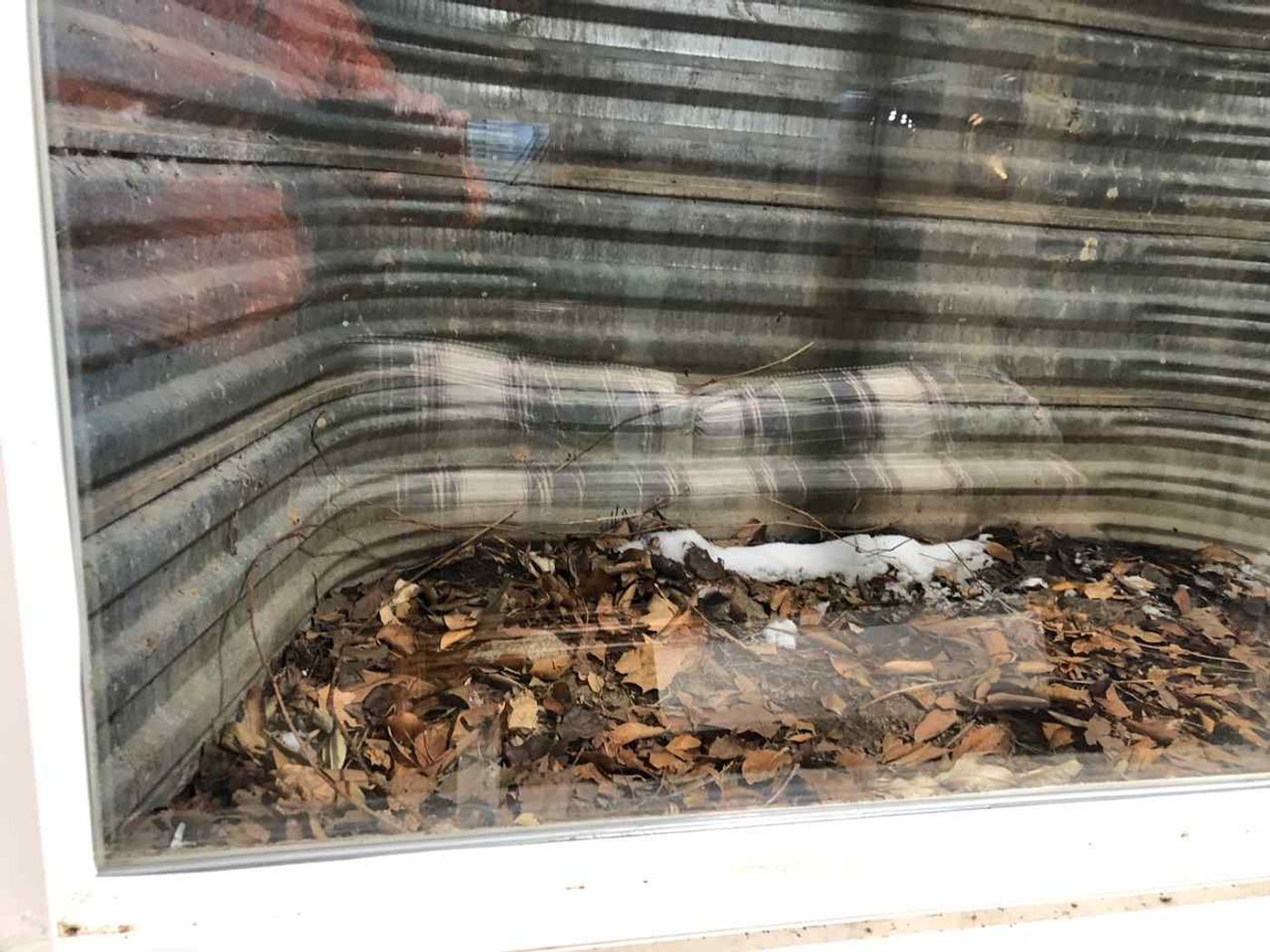 Window Glass project photo