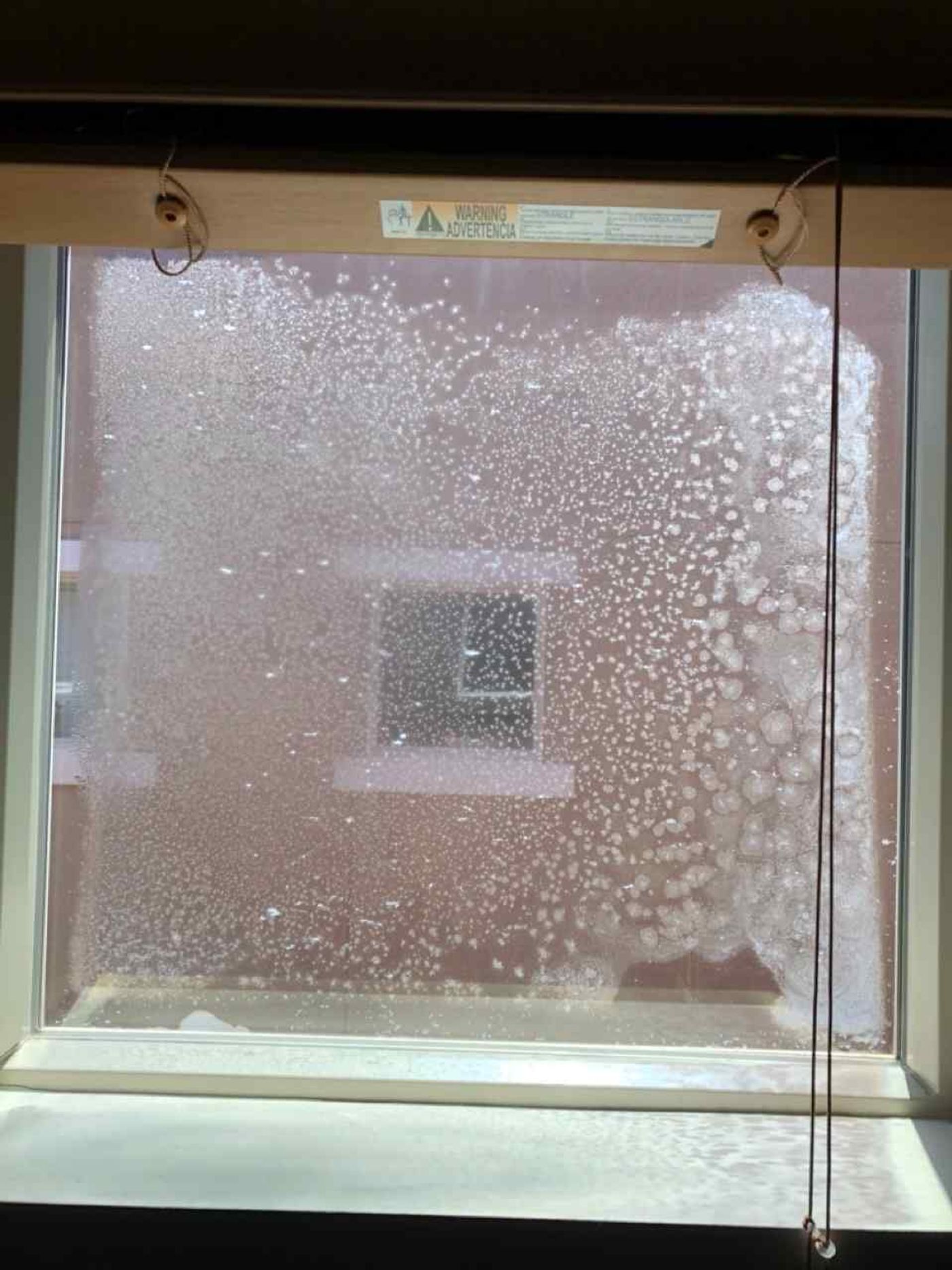 Window Glass project photo