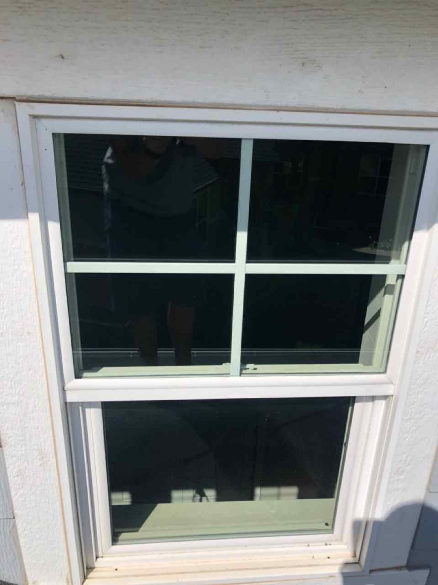 Window Glass project photo