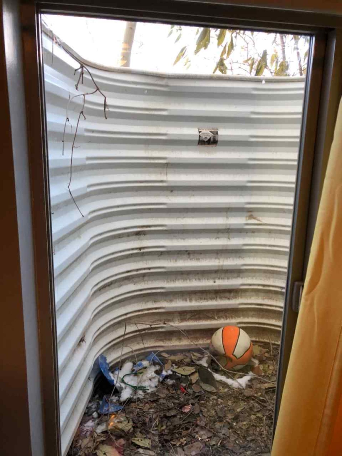 Window Glass project photo