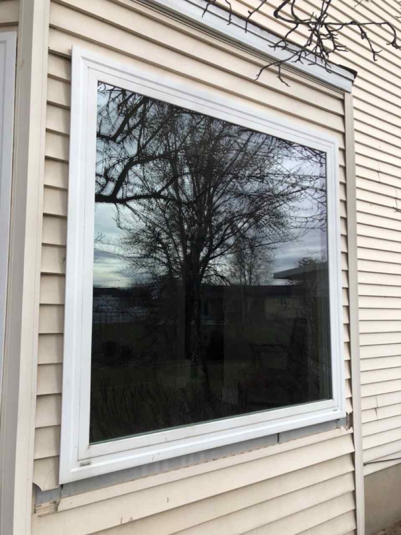 Window Glass project photo