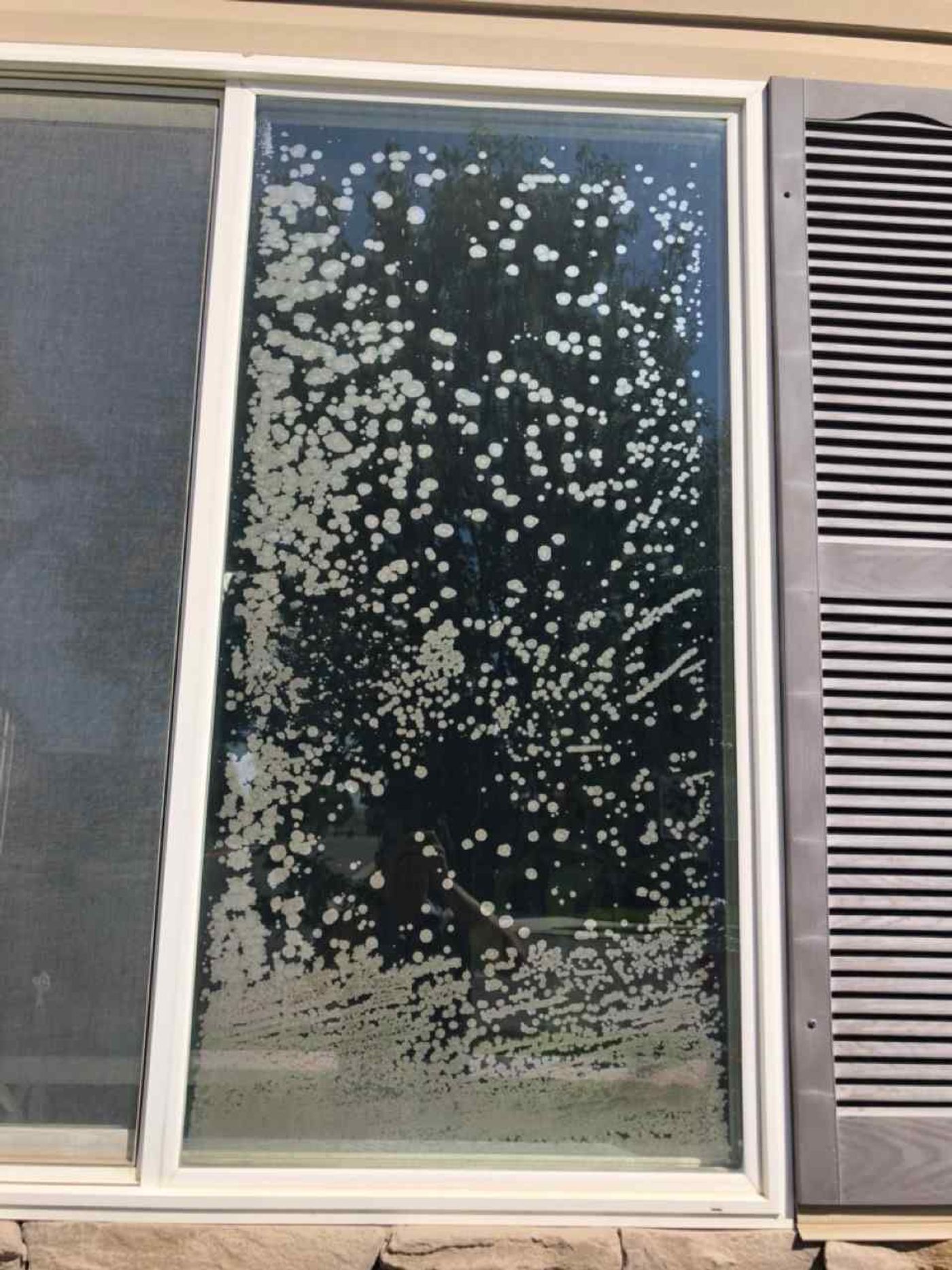 Window Glass project photo