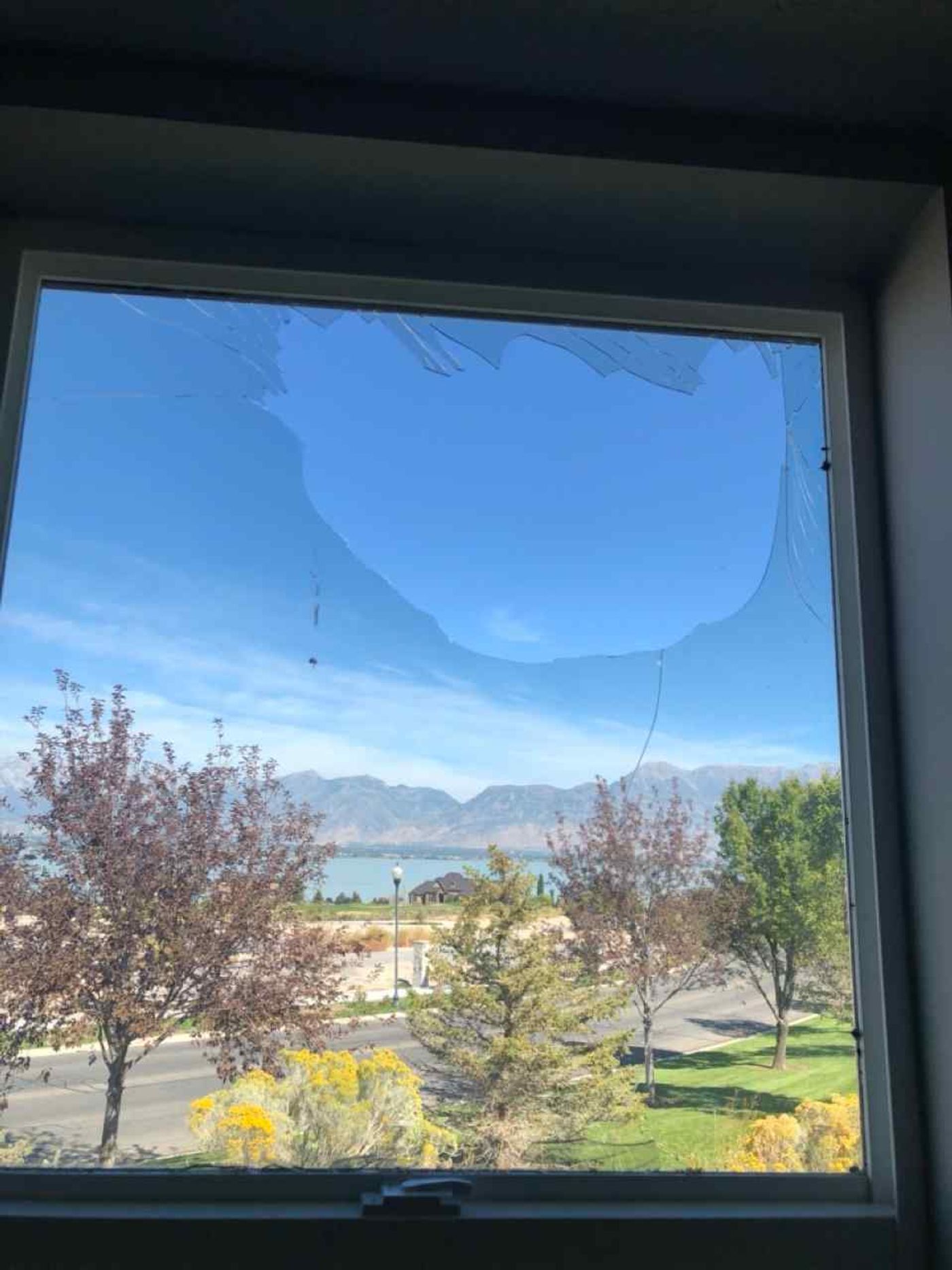 Window Glass project photo