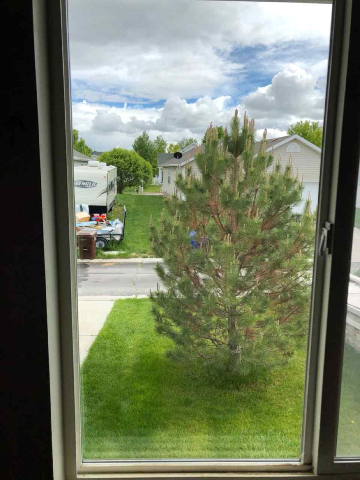 Window Glass project photo