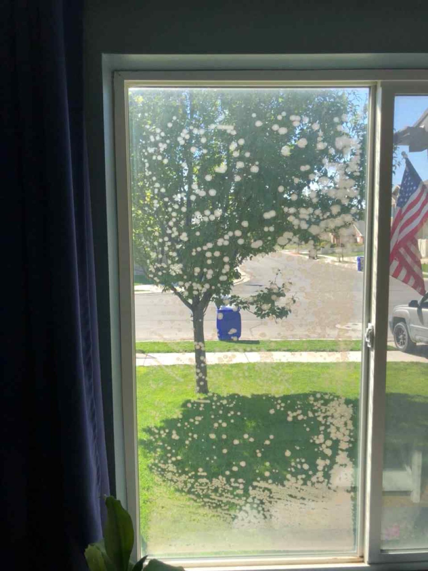 Window Glass project photo