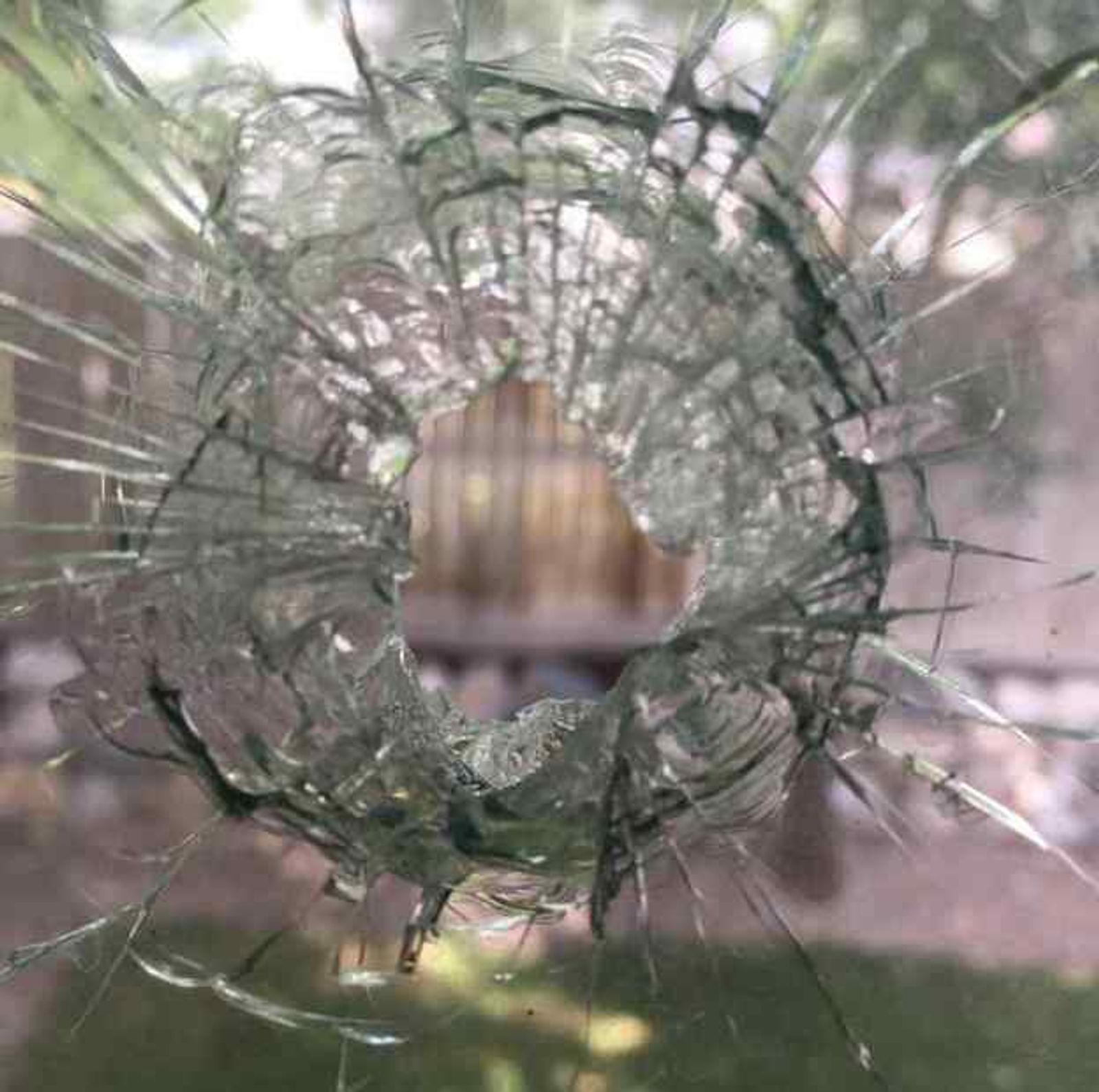 Broken Window Repair