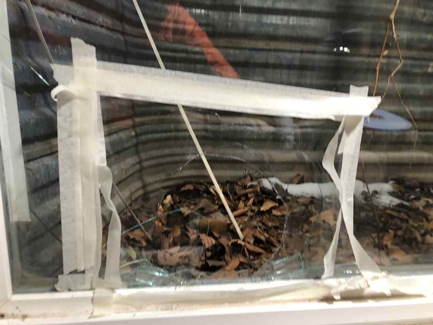 Window Glass project photo