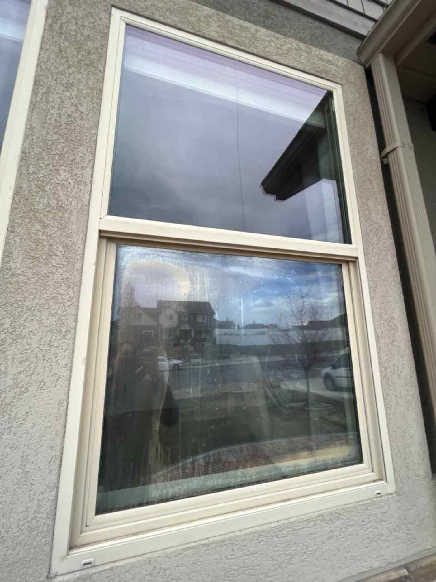 Window Glass project photo