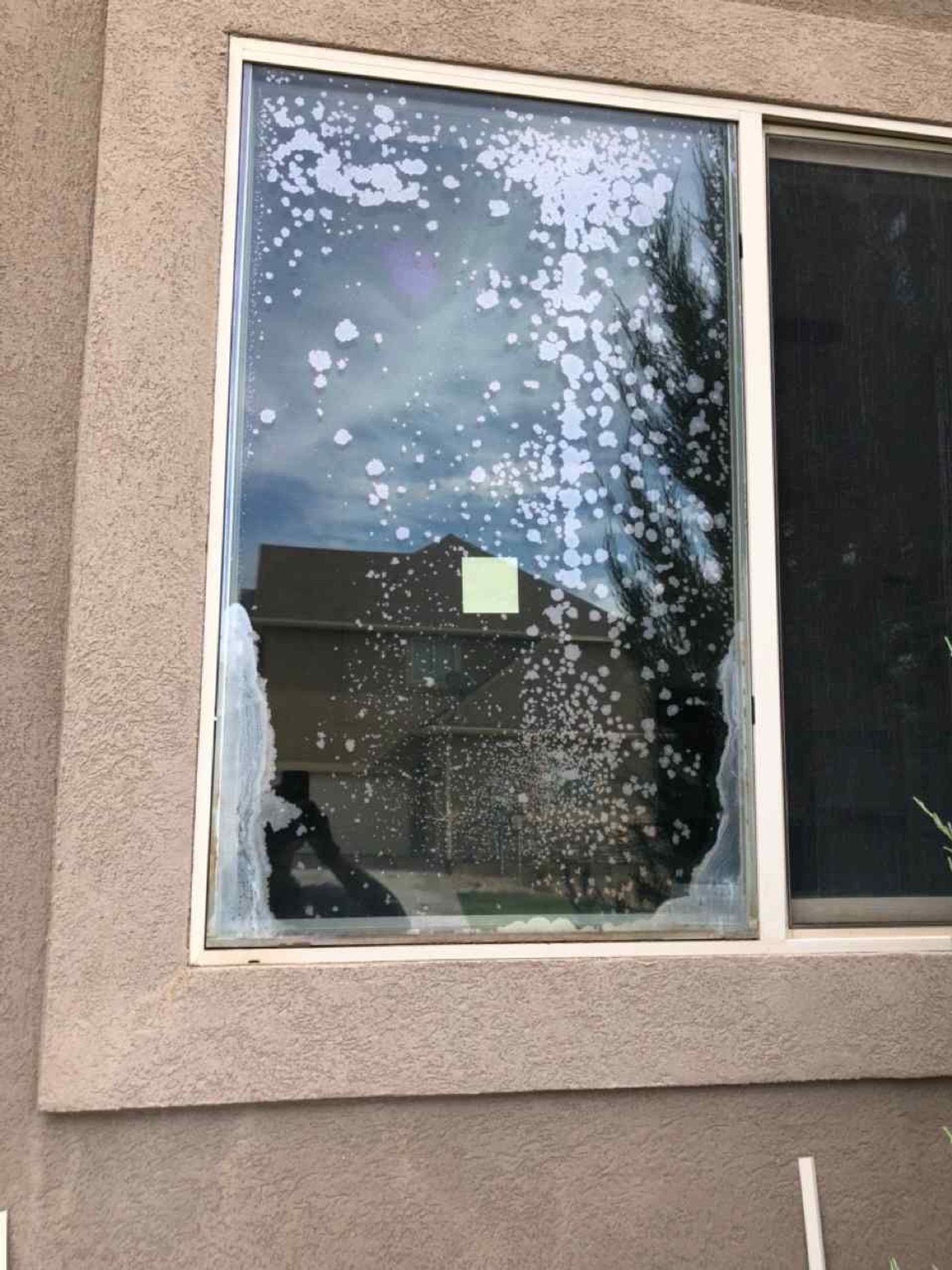 Window Glass project photo