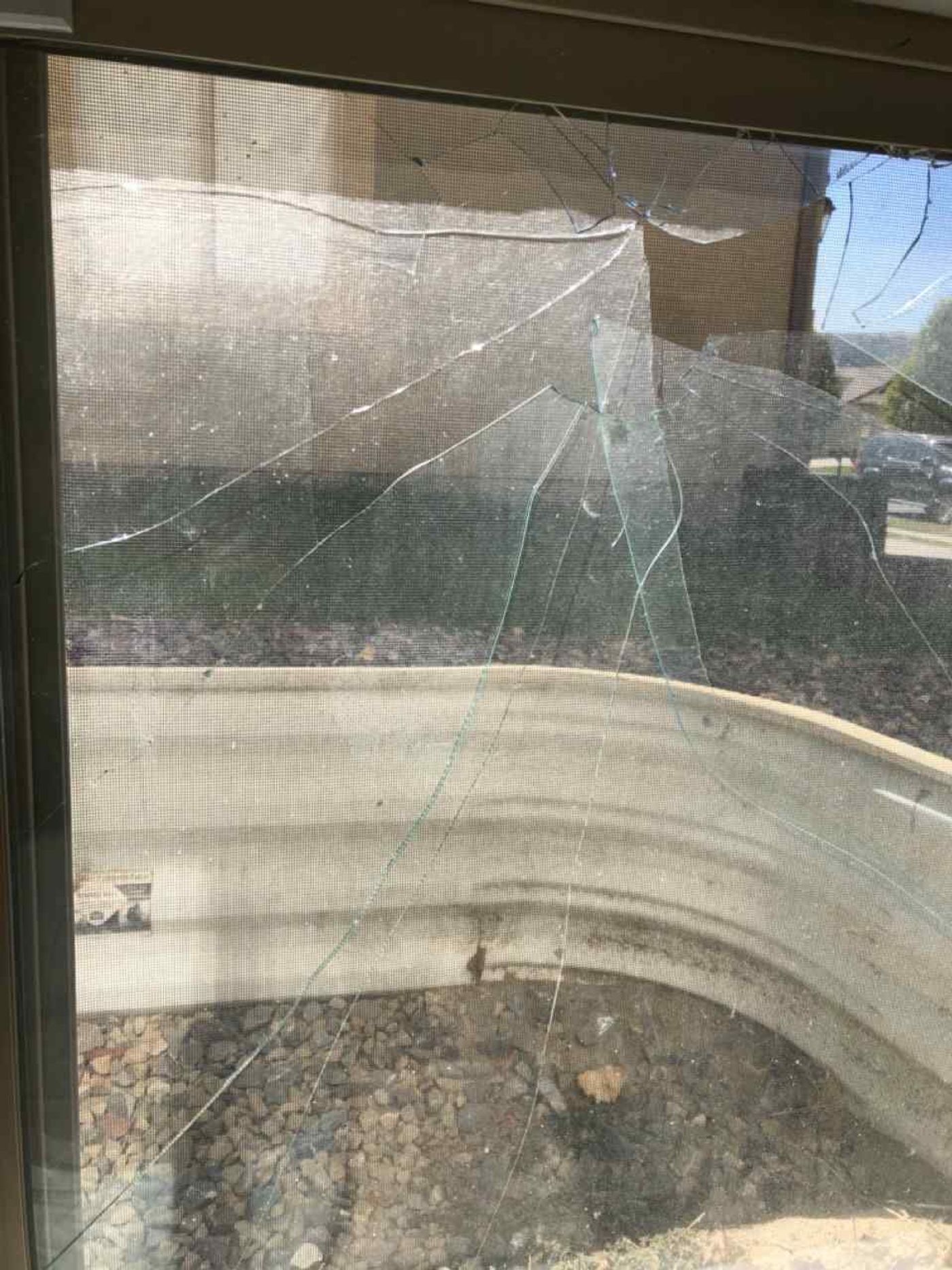 Window Glass project photo