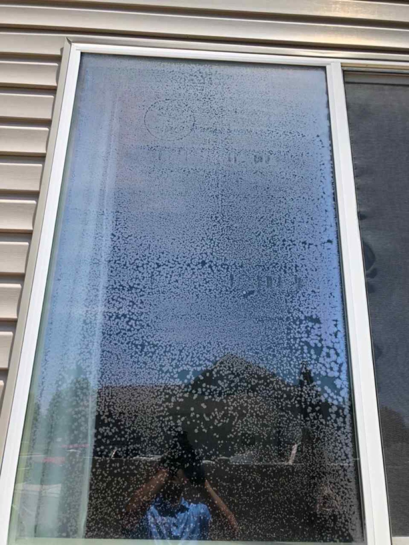 Window Glass project photo