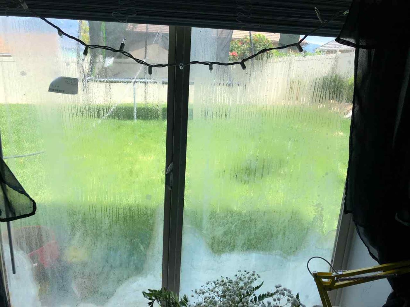 Window Glass project photo