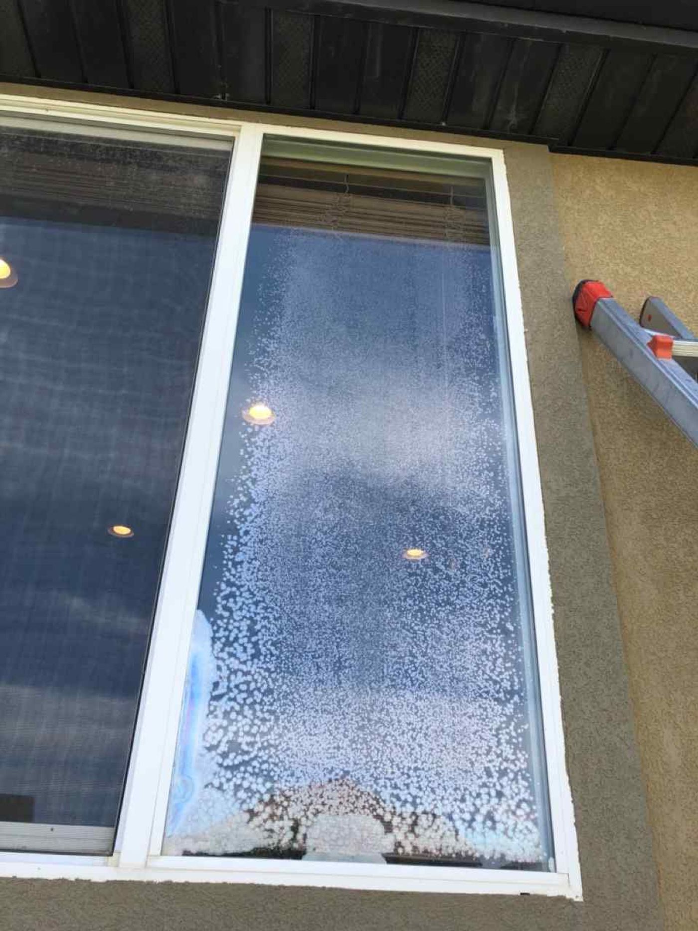 Window Glass project photo