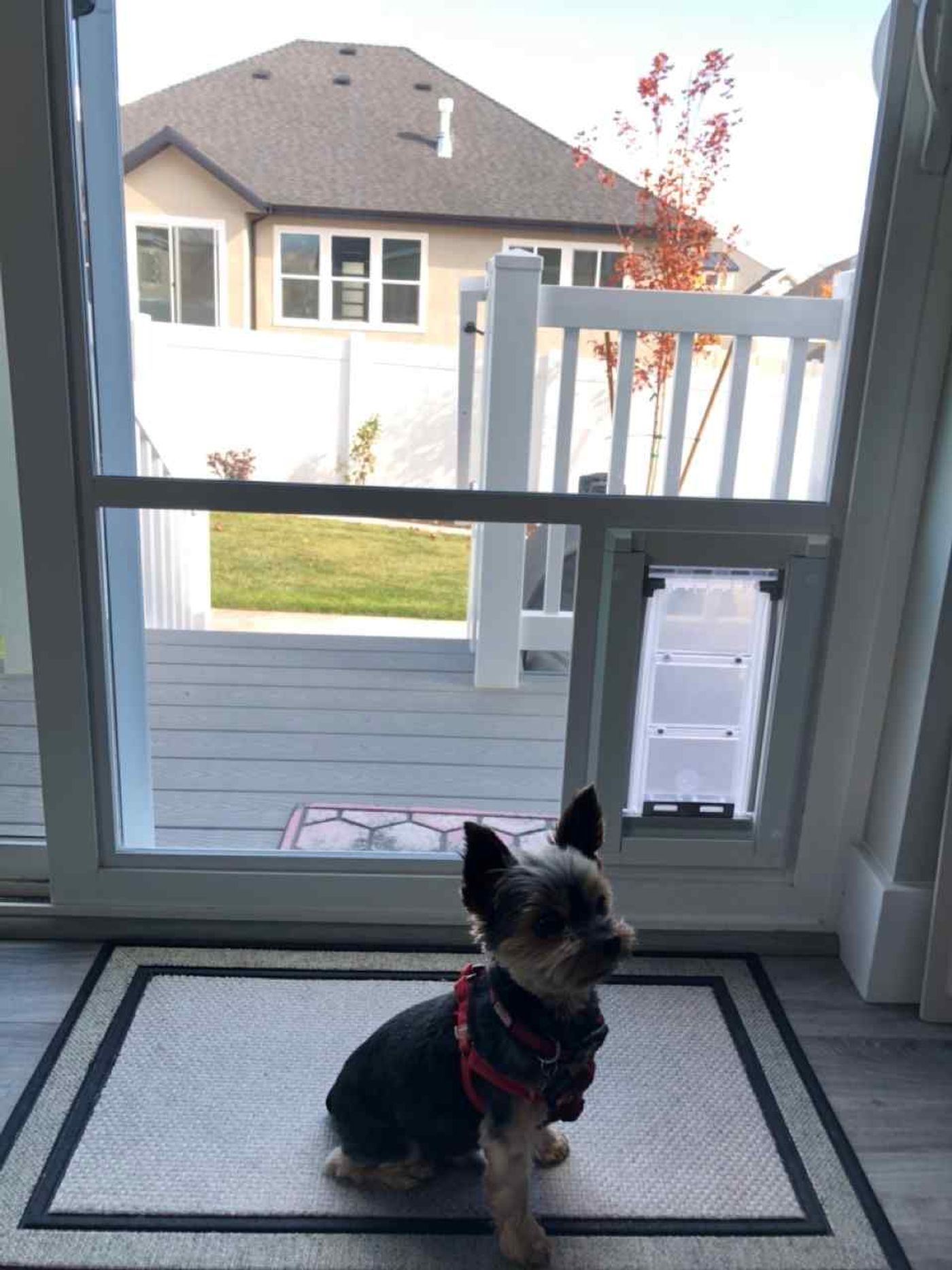 Window Glass project photo