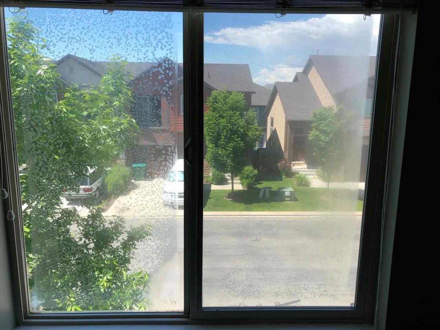 Window Glass project photo