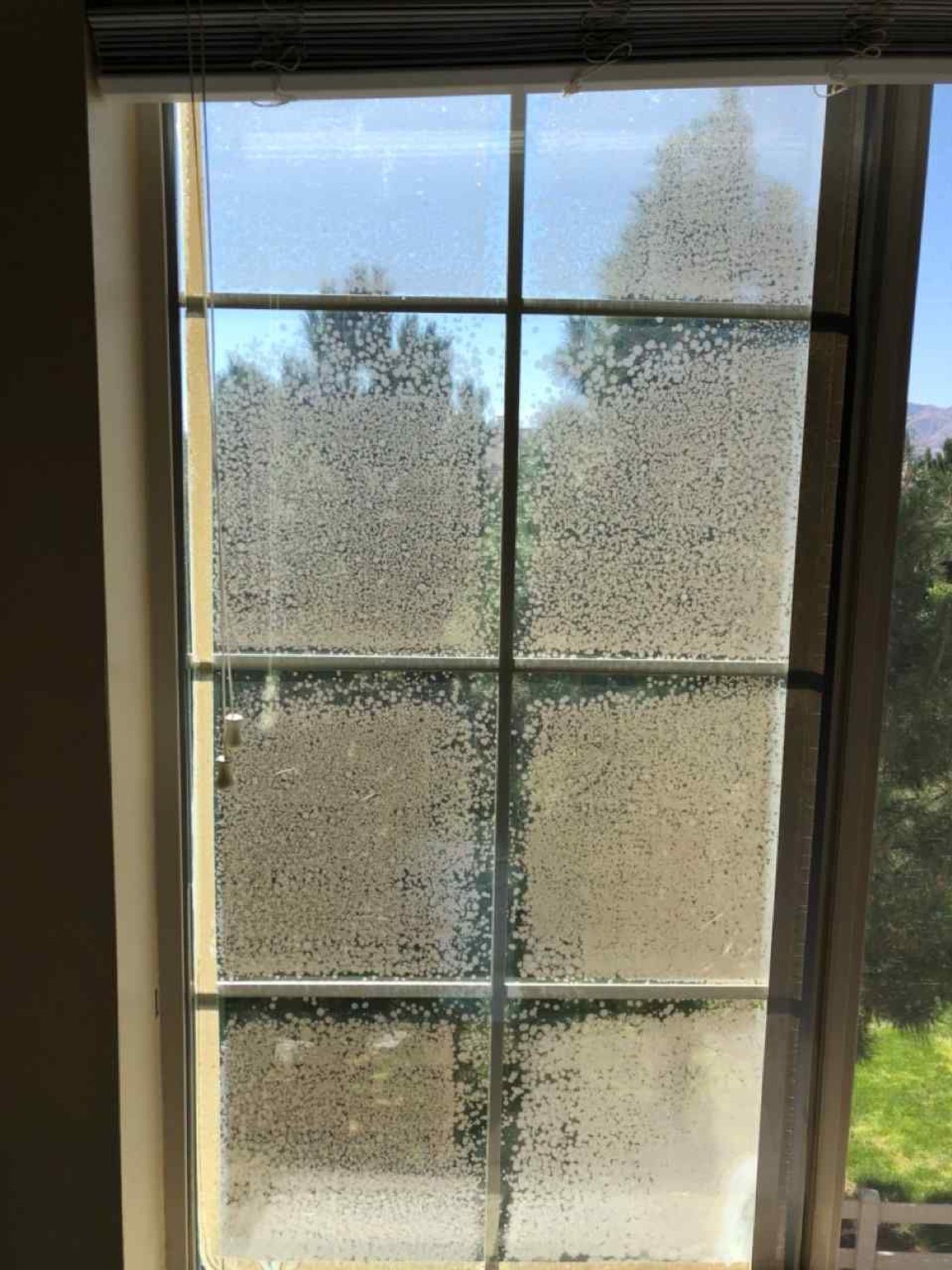 Window Glass project photo