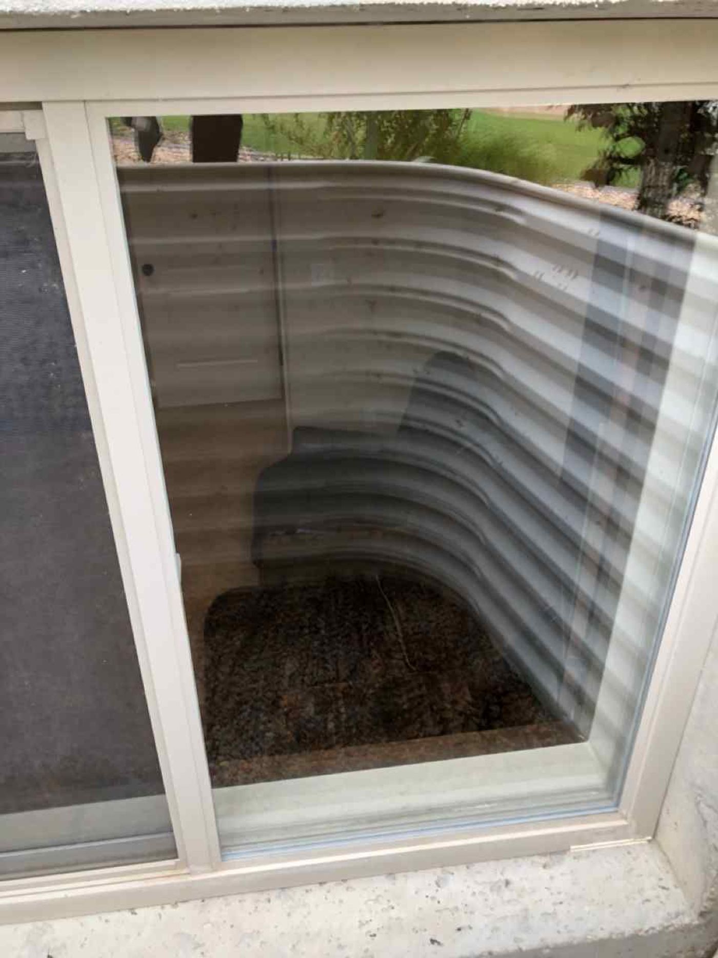 Window Glass project photo