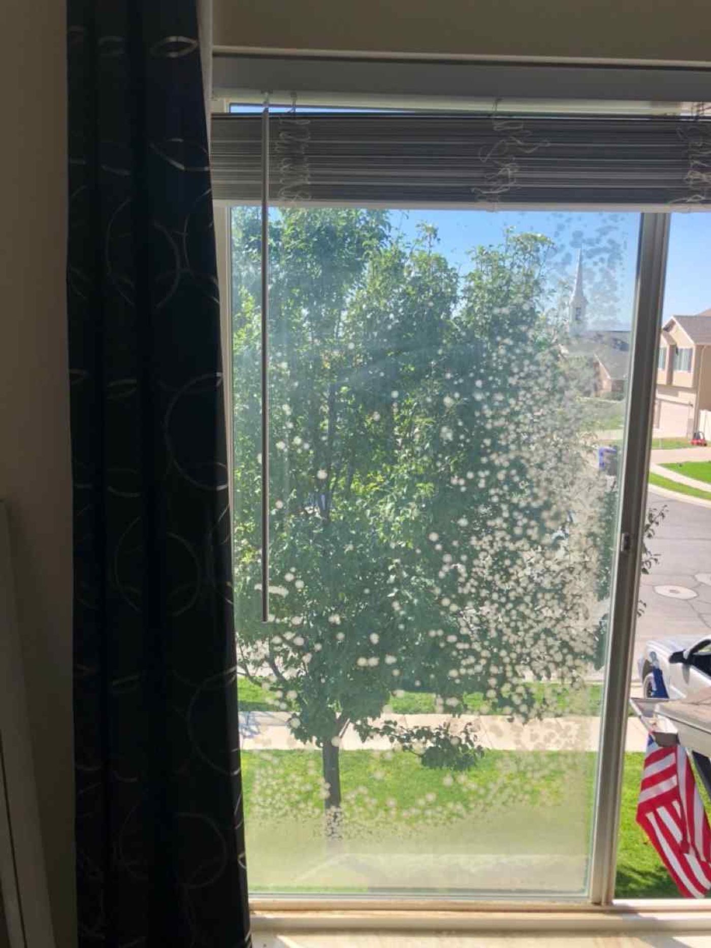 Window Glass project photo