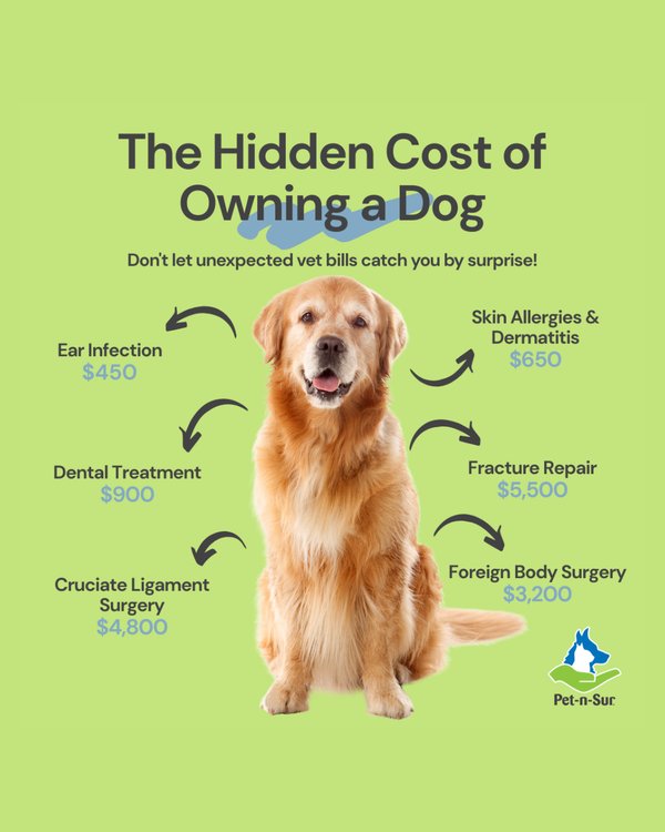 Infographic titled "The Hidden Cost of Owning a Dog" shows a golden retriever with common vet expenses: Ear Infection $450, Dental Treatment $900, Cruciate Ligament Surgery $4,800, Skin Allergies & Dermatitis $650, Fracture Repair $5,500, Foreign Body Surgery $3,200.