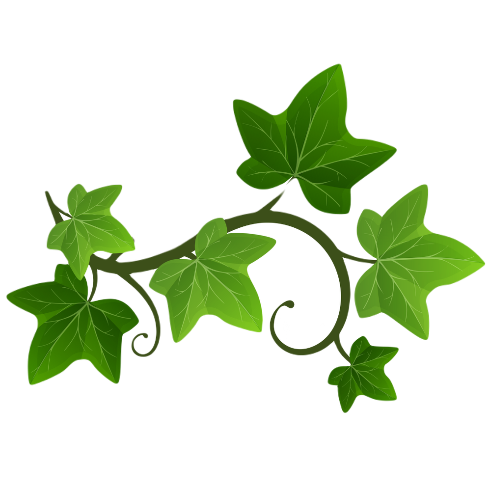 green ivy leaves on a black background with a white circle in the middle green ivy leaves on a black background with a white circle in the middle