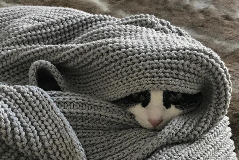 a black and white cat is laying under a knitted blanket . a black and white cat is laying under a knitted blanket .