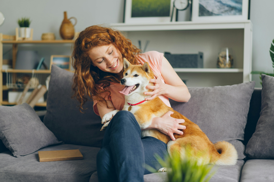 A happy woman with red hair pets a Shiba Inu dog on a grey couch.