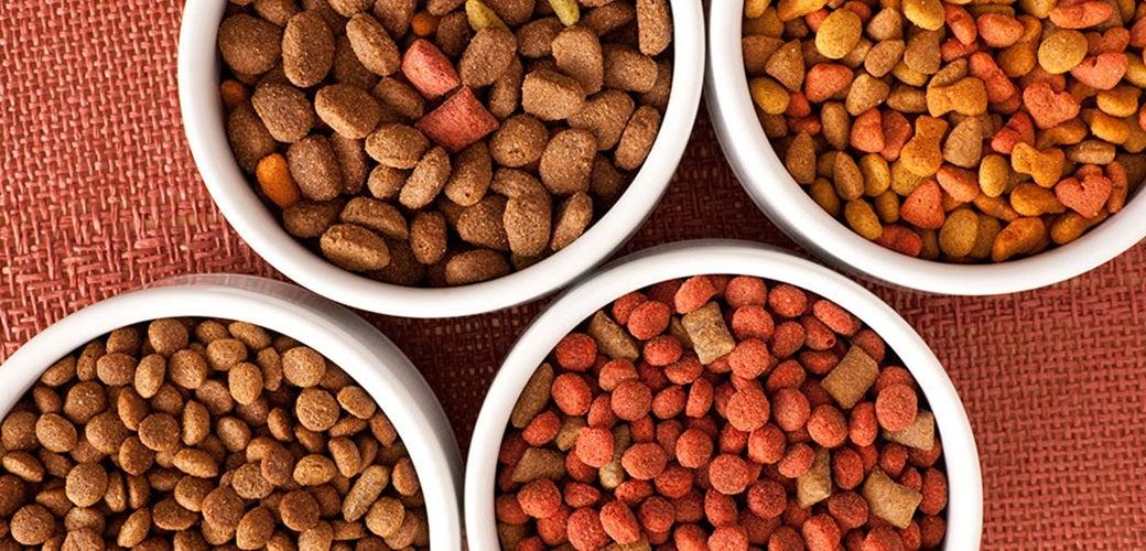 What You Should and Shouldn’t Feed Your Pet