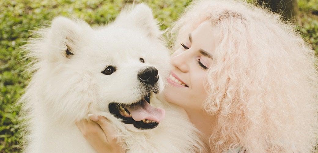 Common Dog Owner Mistakes Common Dog Owner Mistakes