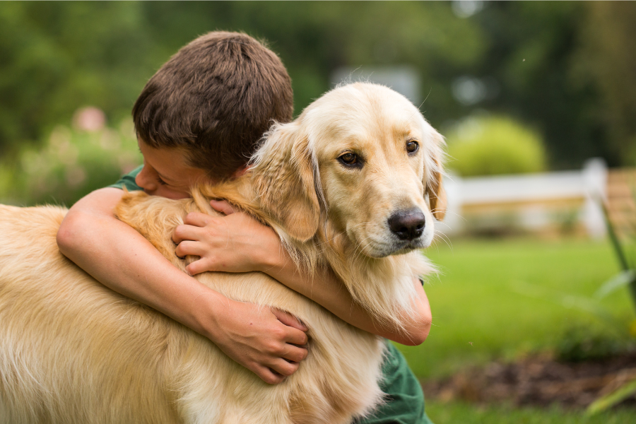 A child hugging a golden retriever.