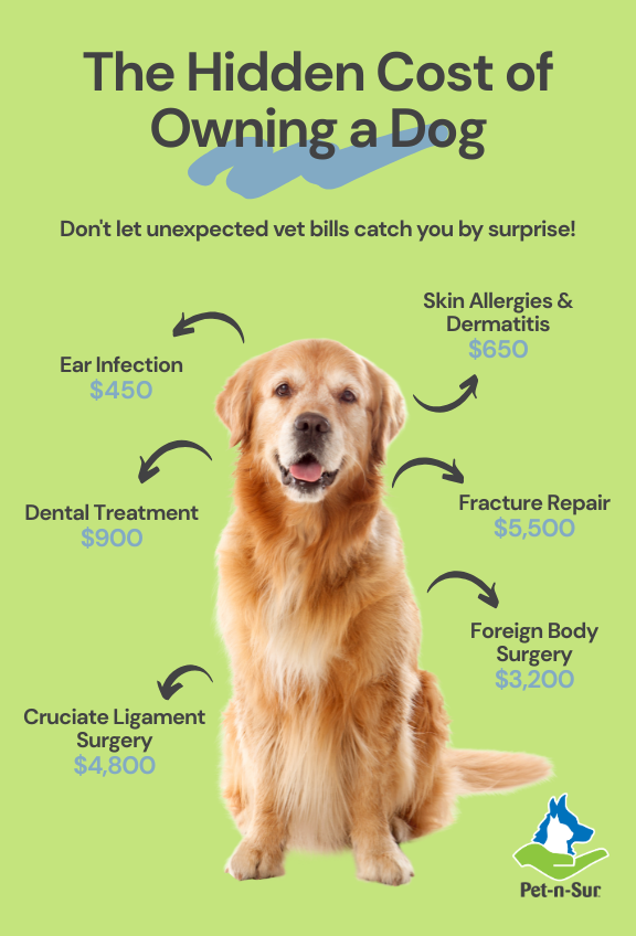 Infographic titled "The Hidden Cost of Owning a Dog" shows a golden retriever with common vet expenses: Ear Infection $450, Dental Treatment $900, Cruciate Ligament Surgery $4,800, Skin Allergies & Dermatitis $650, Fracture Repair $5,500, Foreign Body Surgery $3,200.