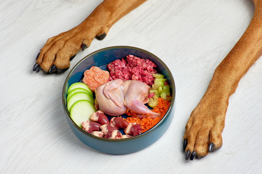 Dog paws next to a bowl of raw pet food with meat, quail, and vegetables.