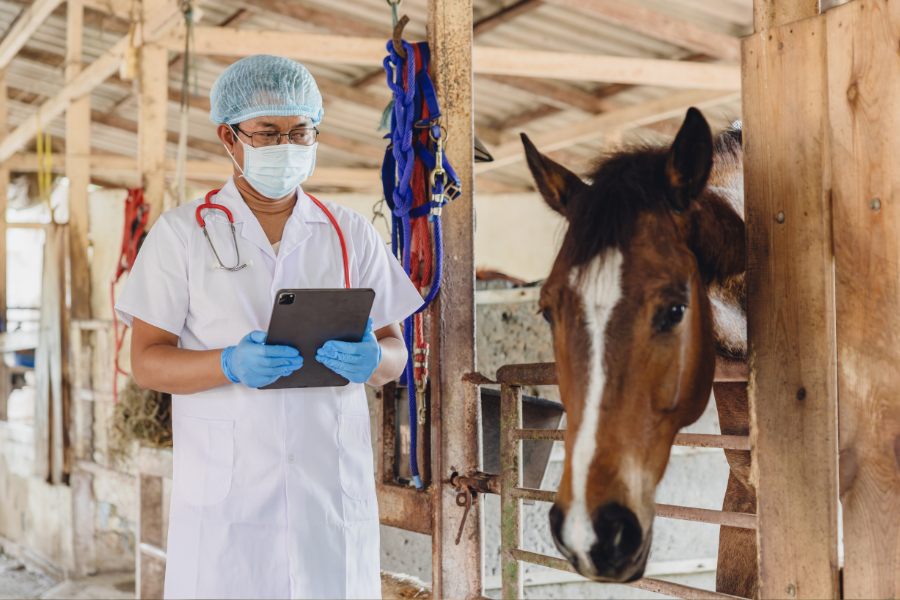 A veterinarian in a mask and gloves holds a tablet next to a horse in a stable.