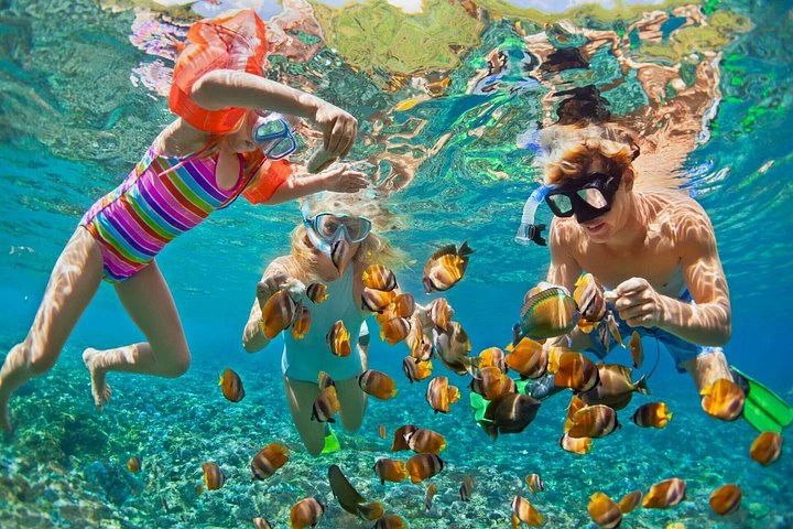 Rodzina podczas snorkelingu w płytkiej, przejrzystej wodzie wśród ławicy ryb - Morze Czerwone przy Ras Mohamed
