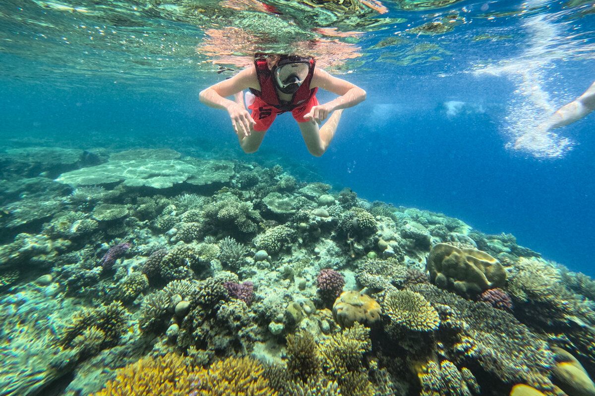 Osoba w czerwonej kamizelce i masce pełnotwarzowej snorkeluje nad rozległą, płytką rafą koralową w przejrzystej wodzie