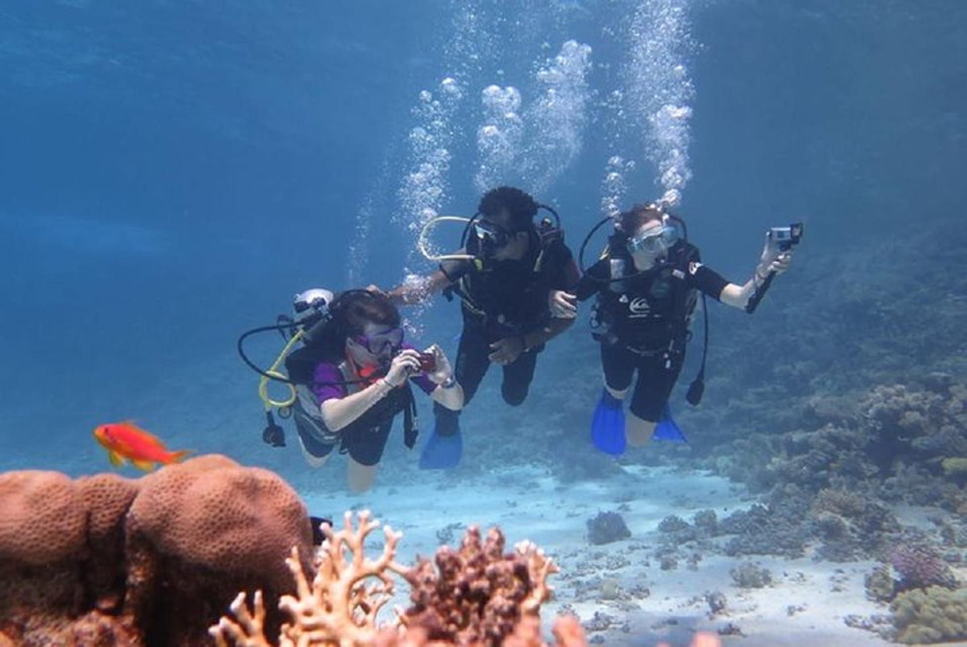 Grupa nurków ze sprzętem scuba nad rafą koralową Morza Czerwonego w Marsa Alam
