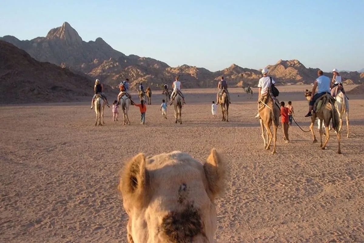 Karawana wielbłądów z uczestnikami i beduińskimi przewodnikami na kamienistej pustyni podczas Quad Safari 5h z Marsa Alam