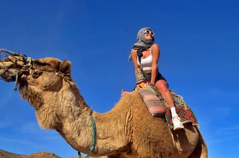 Przejażdżka na wielbłądzie na pustyni podczas Jeep Safari z Marsa Alam
