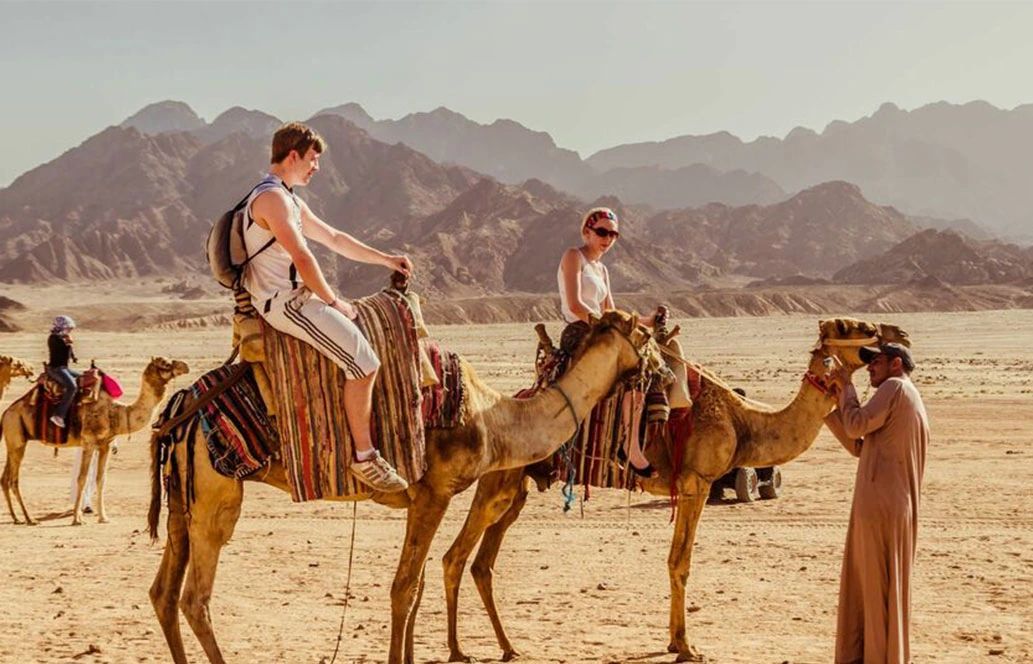 Jazda na wielbłądzie na pustyni podczas safari quadowego z Sharm el Sheikh