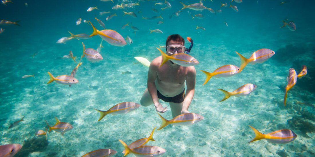 Snorkelujący mężczyzna w masce i fajce wśród ławicy żółto-srebrzystych ryb nad piaszczystym dnem w przejrzystej, turkusowej wodzie