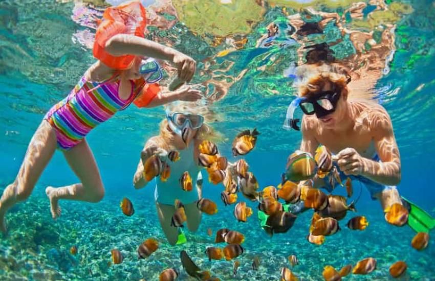 Dwoje dzieci i osoba dorosła snorkelują wśród ławicy pomarańczowo-czarnych ryb w przejrzystej wodzie na rafie