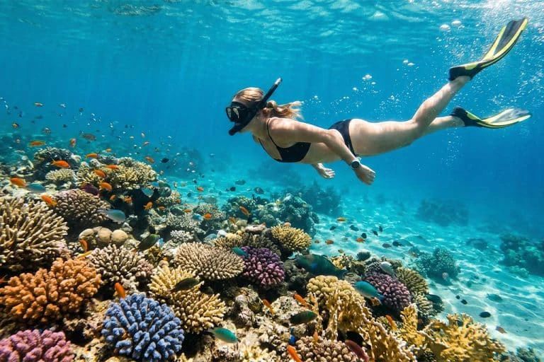Snorkeling nad kolorową rafą koralową pełną tropikalnych ryb - Morze Czerwone przy Ras Mohamed