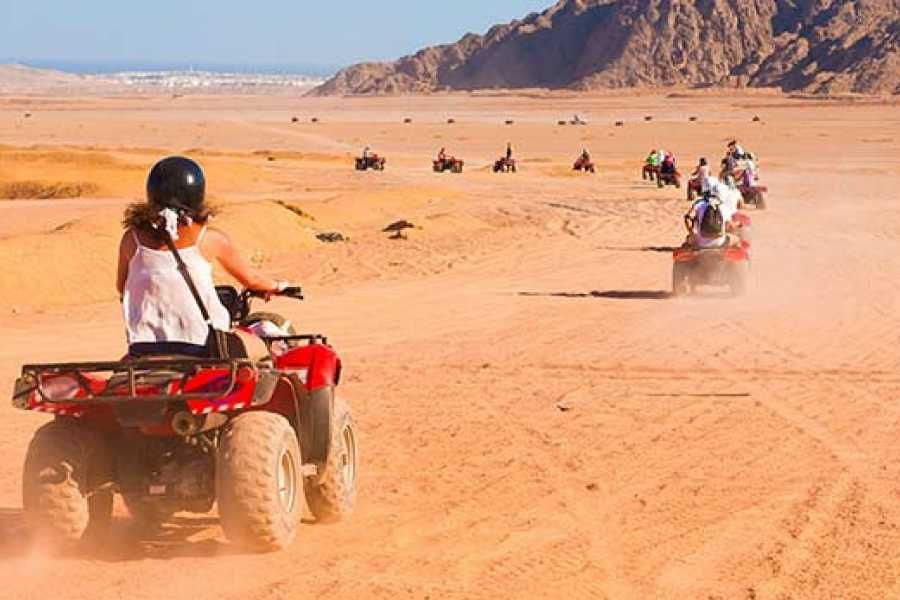 Kolumna quadów jadących przez pustynię podczas safari z Marsa Alam