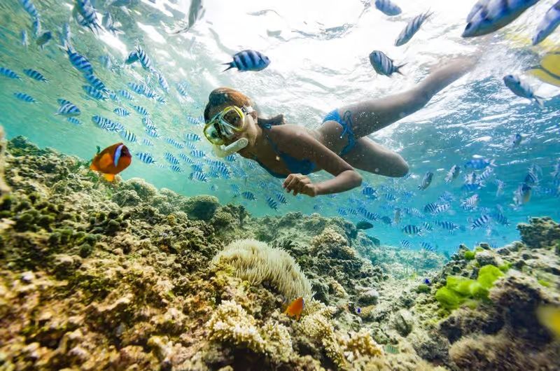 Snorkeler z maską i rurką pływa nad rafą koralową wśród kolorowych ryb w Morzu Czerwonym